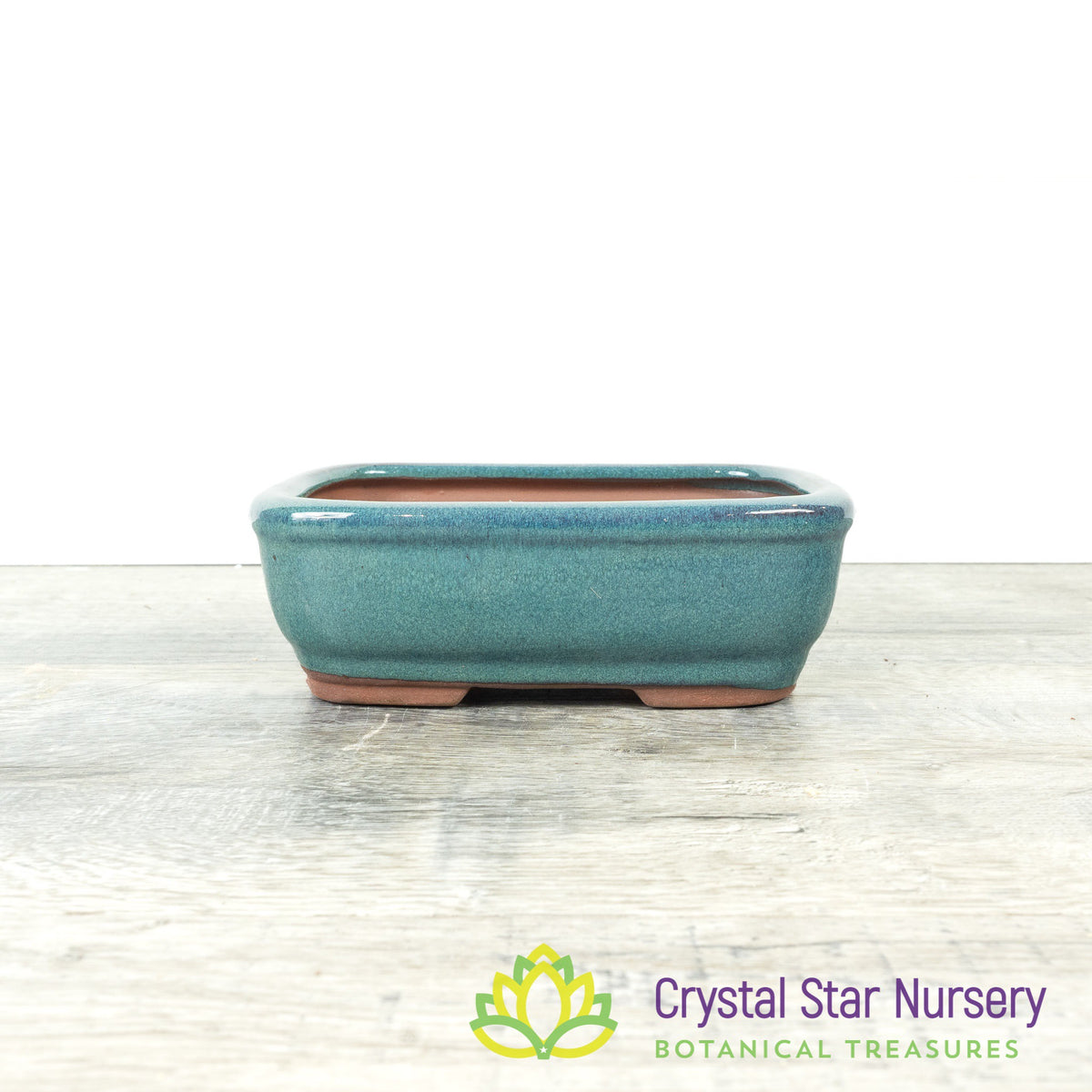 Bonsai Pot (B34)