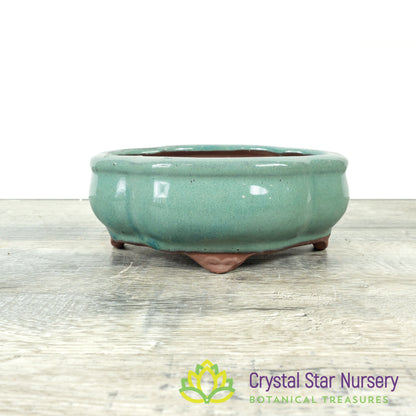 Bonsai Pot (B37)
