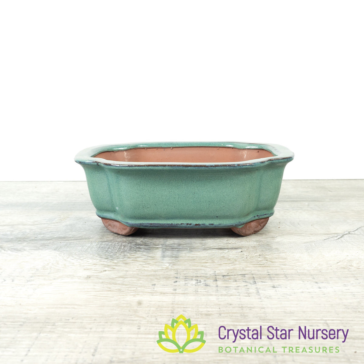 Bonsai Pot (B9)