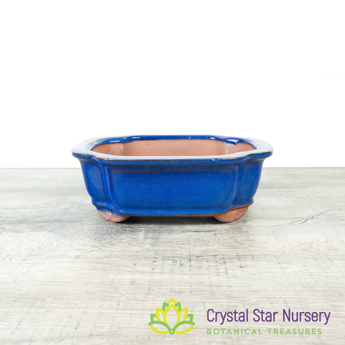 Bonsai Pot (B9)