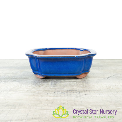 Bonsai Pot (B9)
