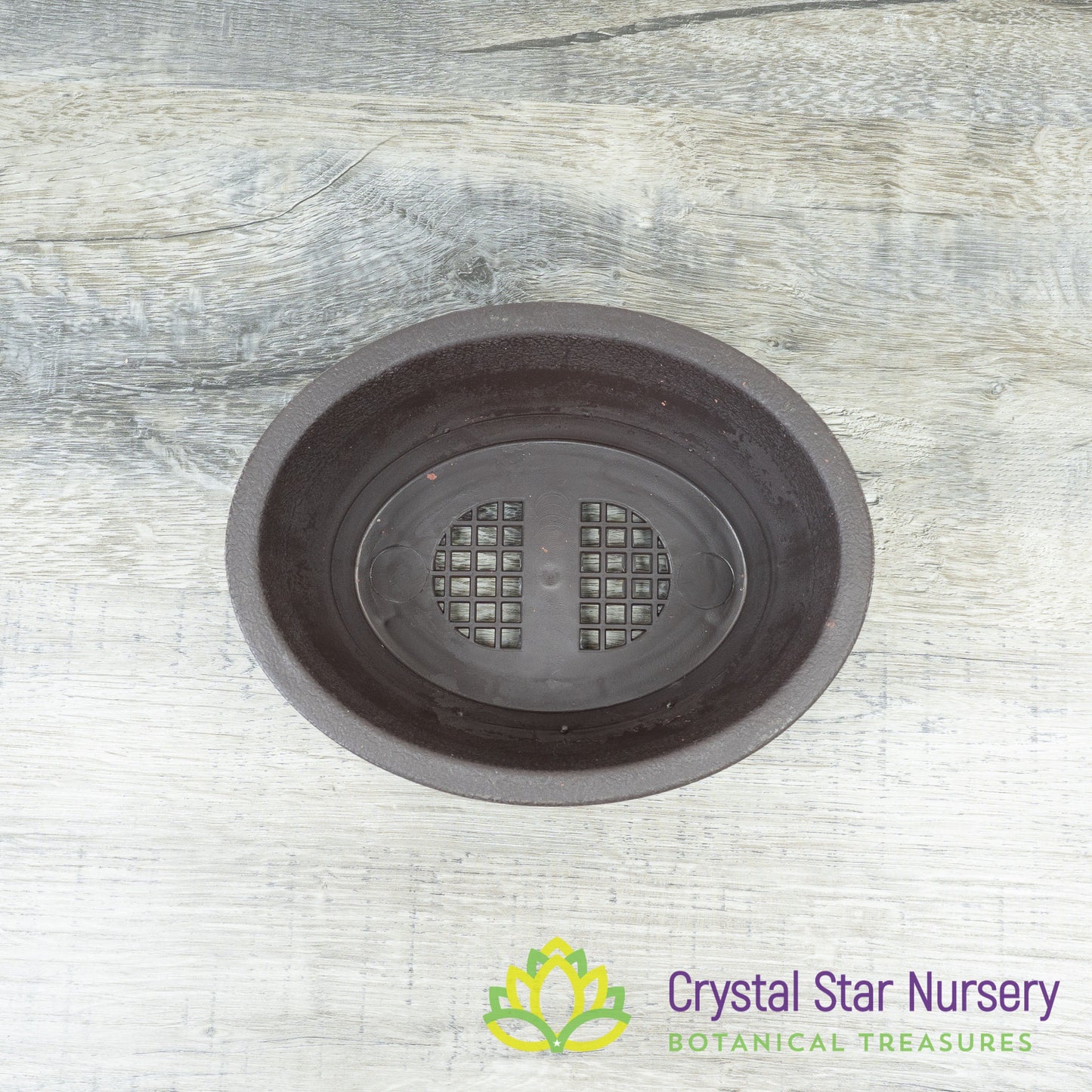 Brown Oval Plastic Bonsai Training Pot