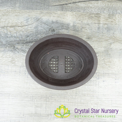 Brown Oval Plastic Bonsai Training Pot