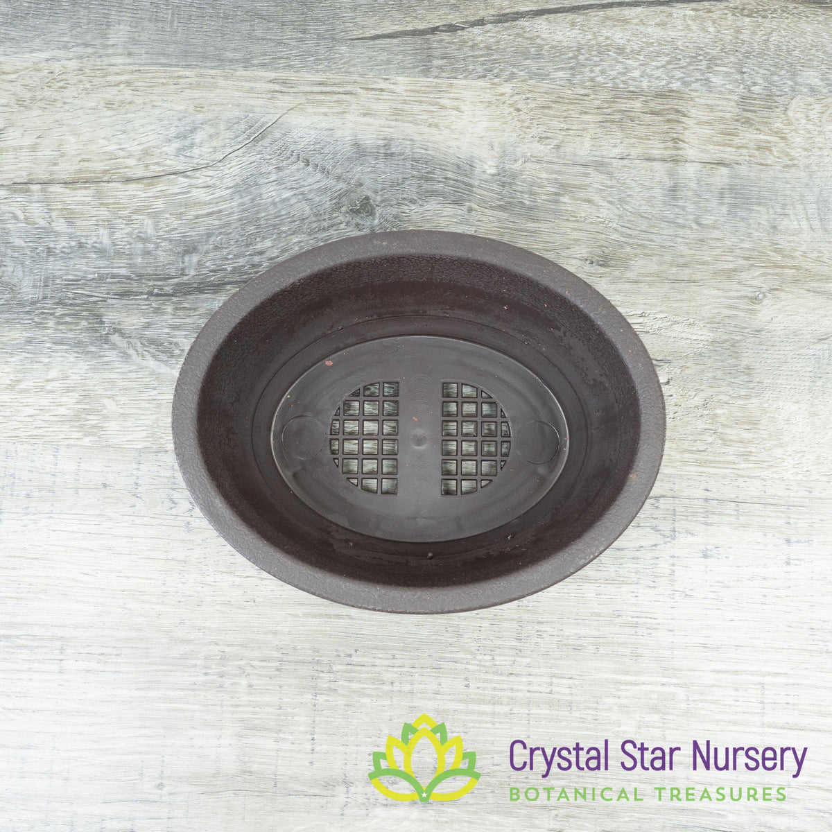 Brown Oval Plastic Bonsai Training Pot