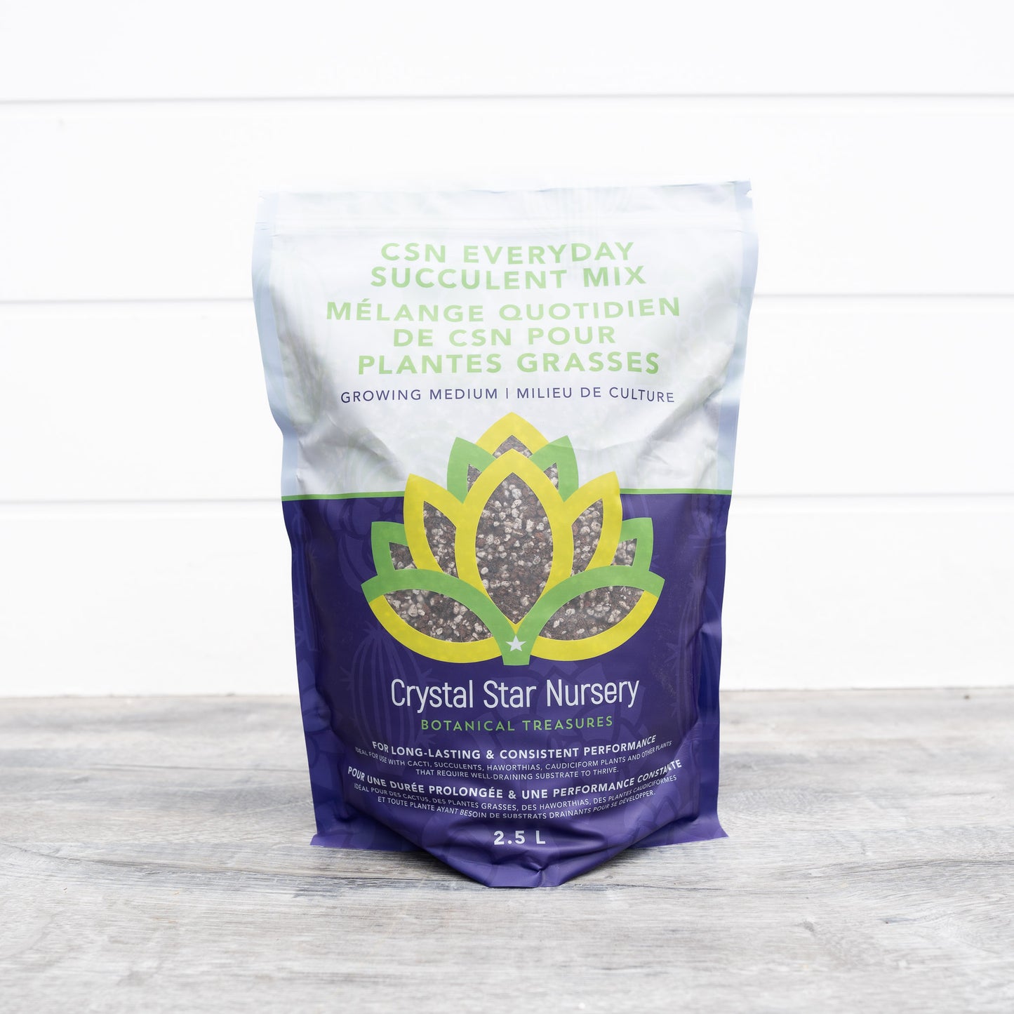 CSN Everyday Succulent Mix (BULK)