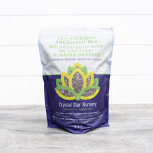 CSN Everyday Succulent Mix
