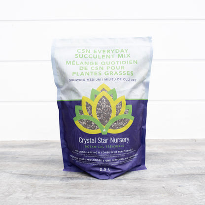 CSN Everyday Succulent Mix (BULK)