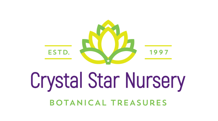 Crystal Star Nursery