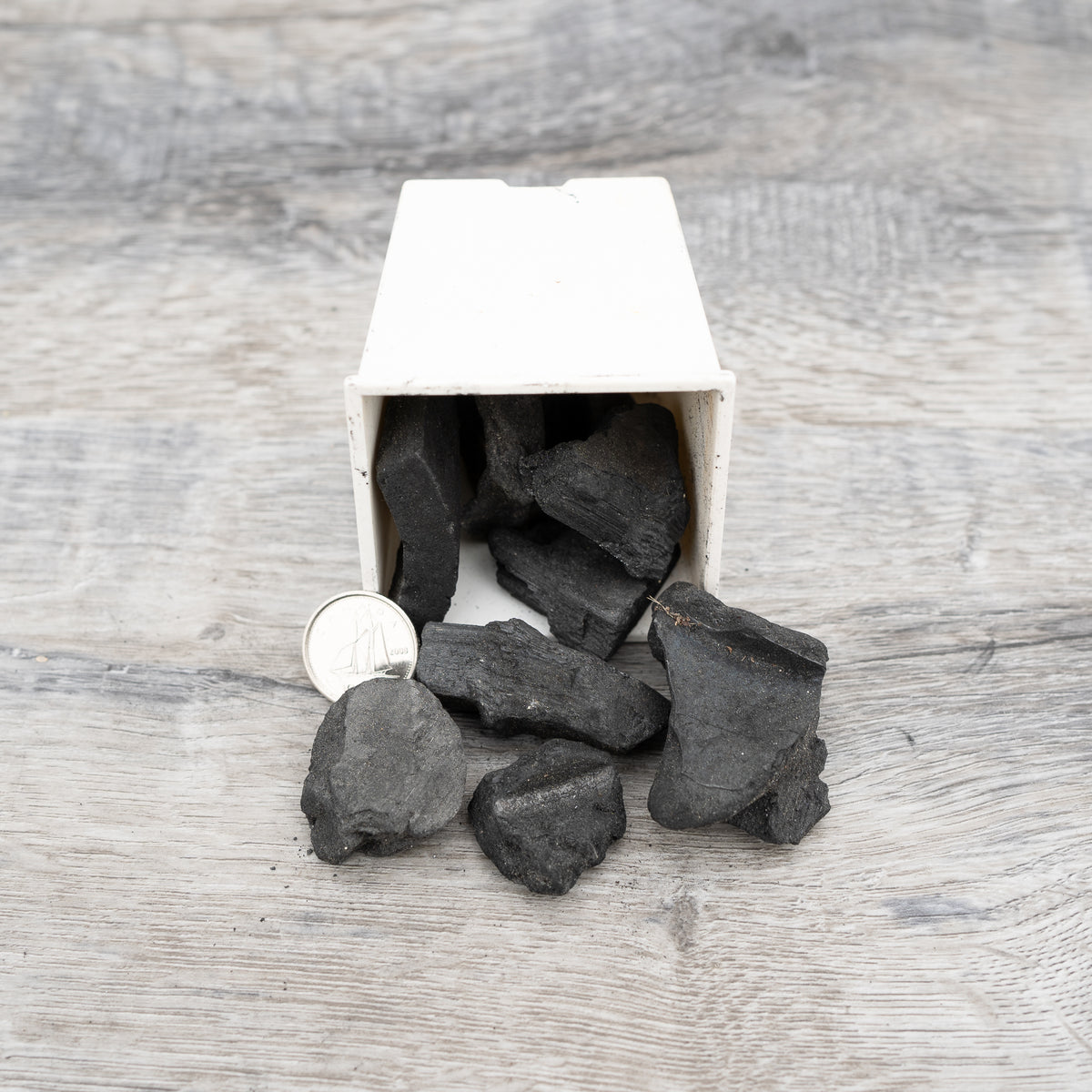 Charcoal
