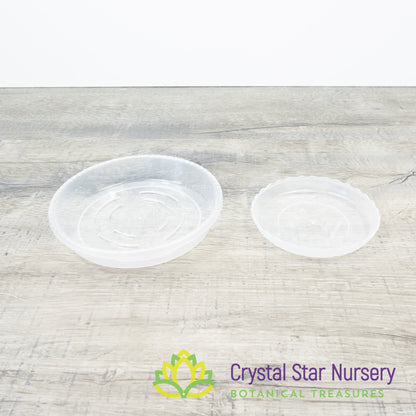 Clear Saucer/Tray