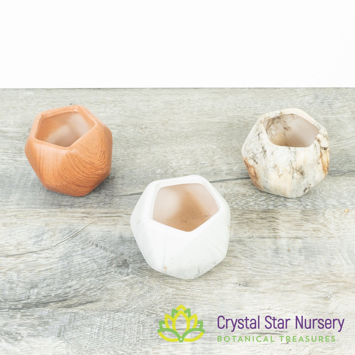 Cute Geometric Pot