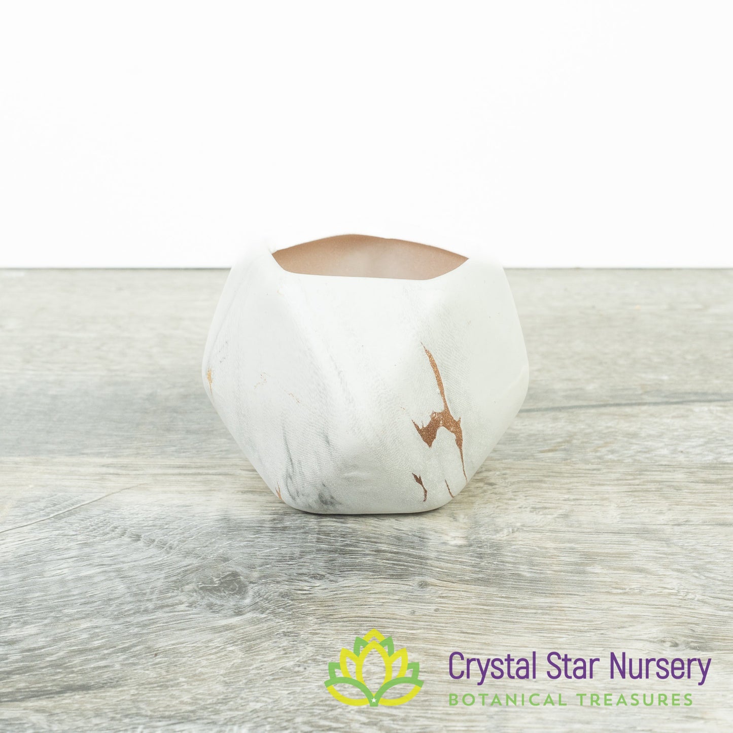 Cute Geometric Pot