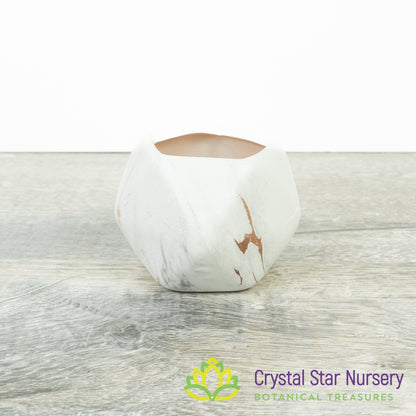 Cute Geometric Pot