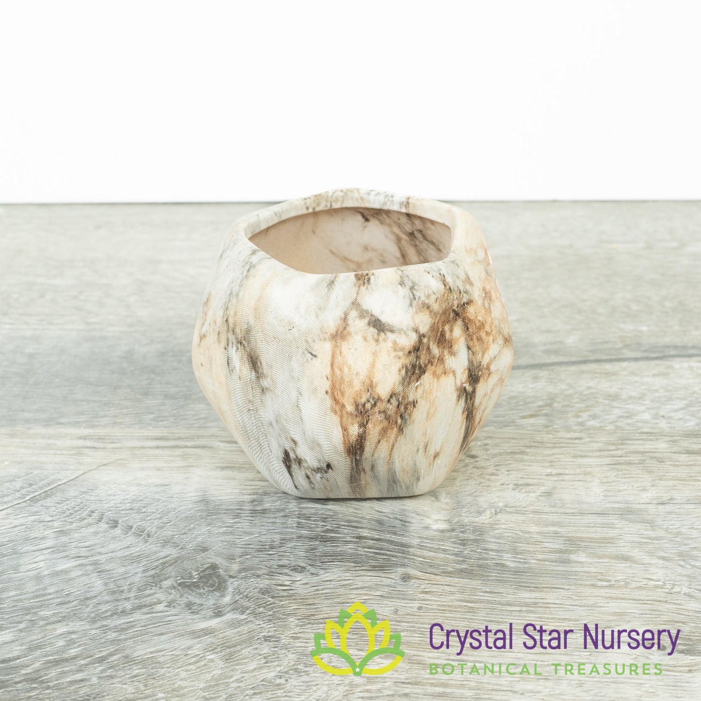 Cute Geometric Pot