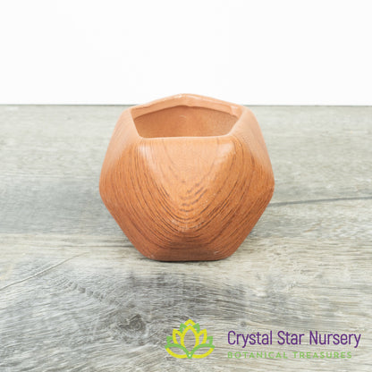 Cute Geometric Pot