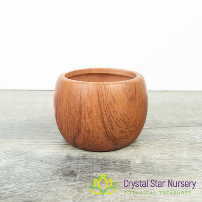Cute Round Pot