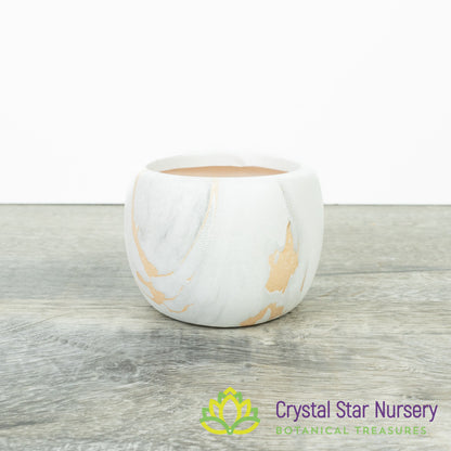 Cute Round Pot