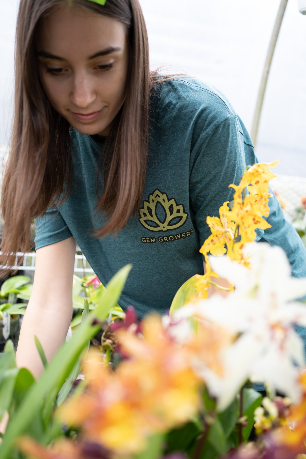 Botanical Treasure Premium T-Shirt