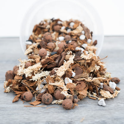Tropical Treasure Mix (BULK)
