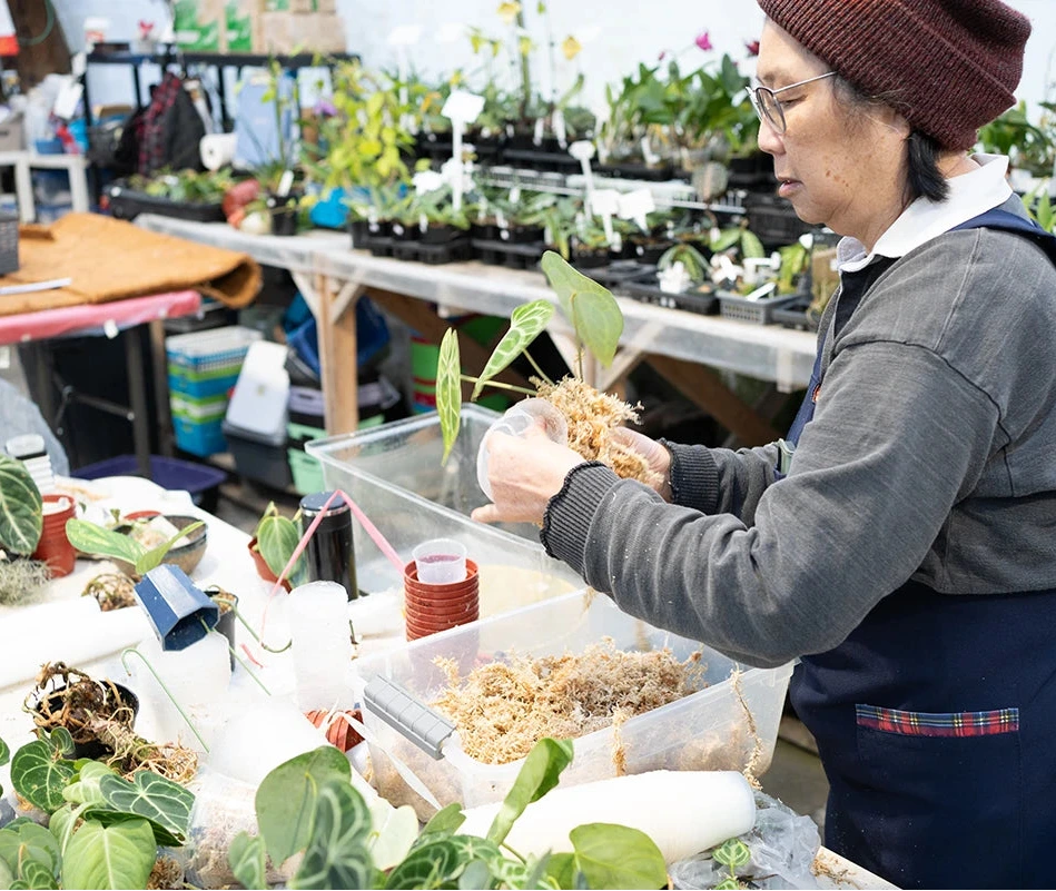 Crystal Star Nursery