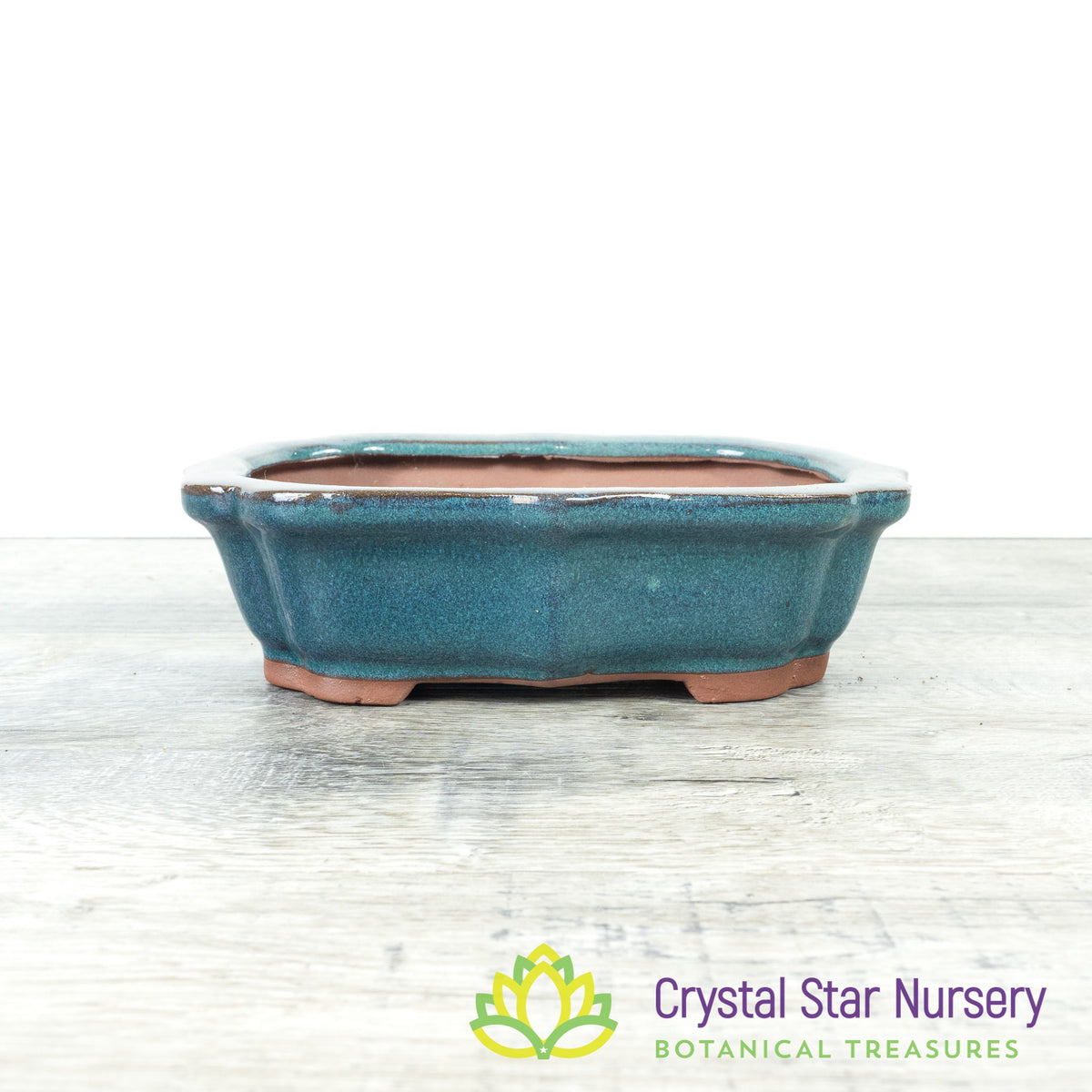 Bonsai Pot (F27)