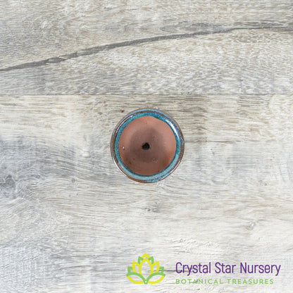 Tiny Clay Glazed Pot (F3)