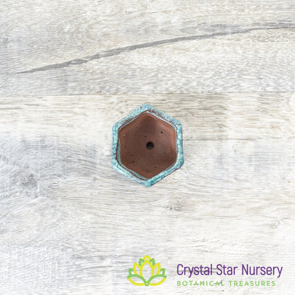 Tiny Clay Glazed Pot (F4)