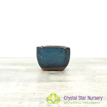 Small Bonsai Pot (F7)