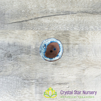 Tiny Clay Glazed Pot (F8)