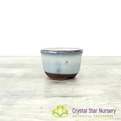 Tiny Clay Glazed Pot (F13)