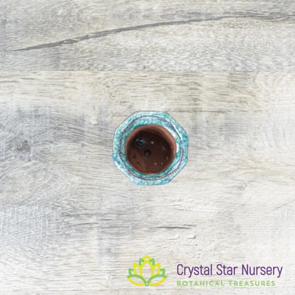 Tiny Clay Glazed Pot (F9)