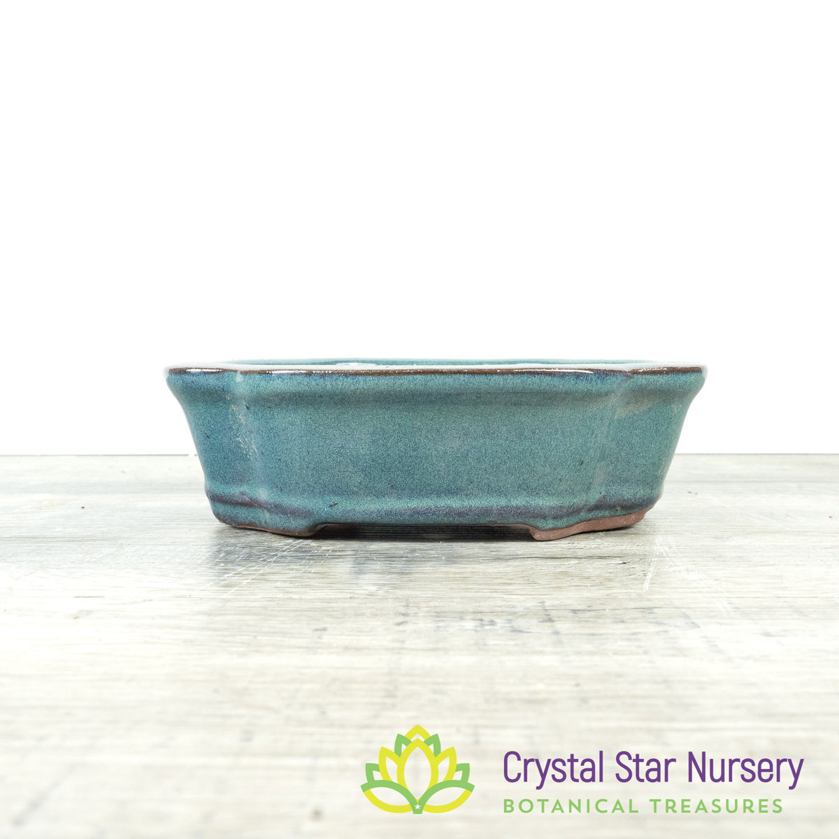 Bonsai Pot (B35)