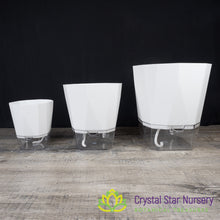 Geometric Self Watering Pot with Wick