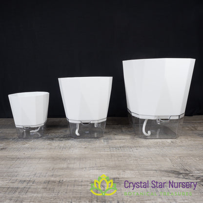 Geometric Self Watering Pot with Wick