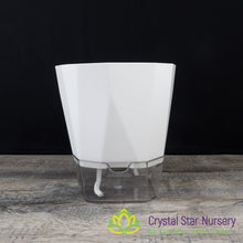 Geometric Self Watering Pot with Wick