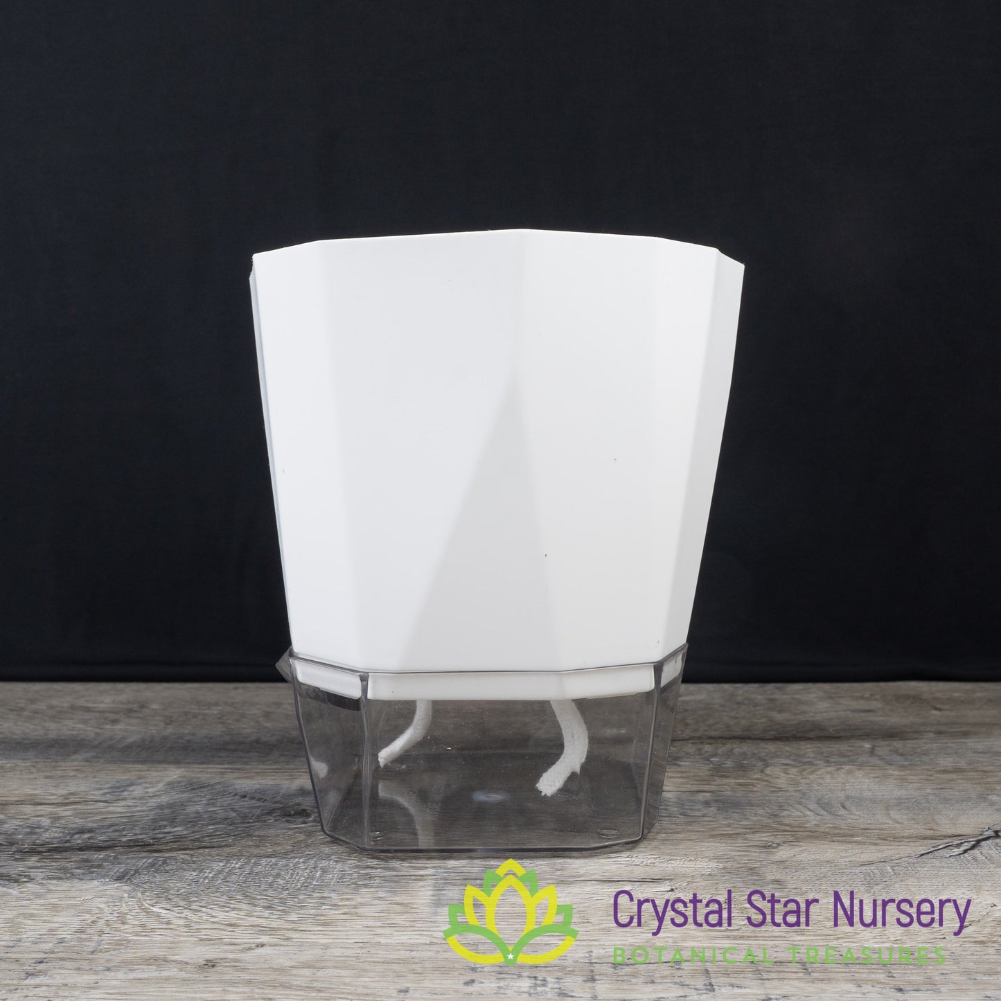 Geometric Self Watering Pot with Wick