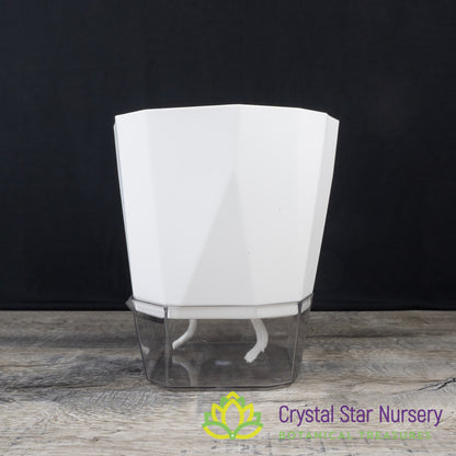 Geometric Self Watering Pot with Wick