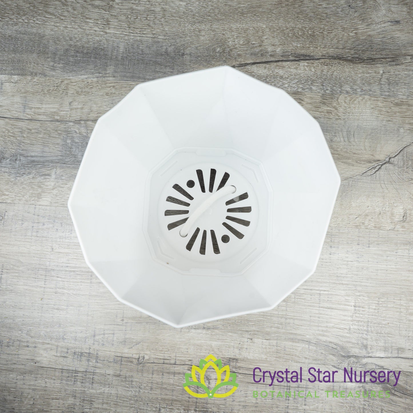 Geometric Self Watering Pot with Wick