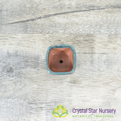 Tiny Clay Glazed Pot (F5L)