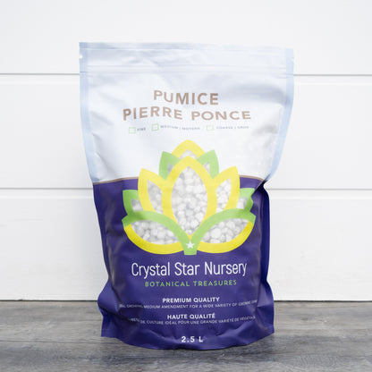 Pumice