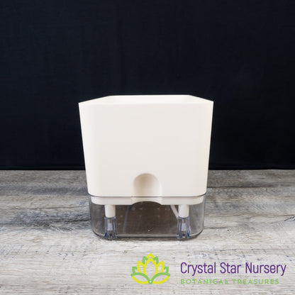 Rectangular Self Watering Pot with Wick