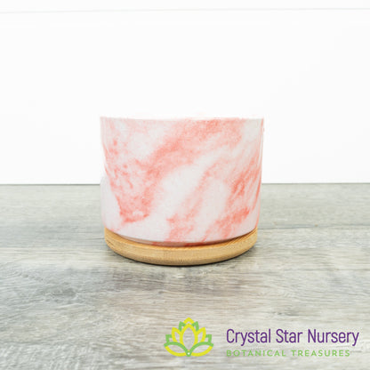 Round Pot with Bamboo Tray
