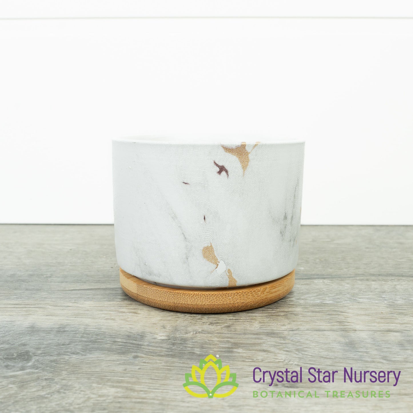 Round Pot with Bamboo Tray