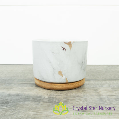 Round Pot with Bamboo Tray