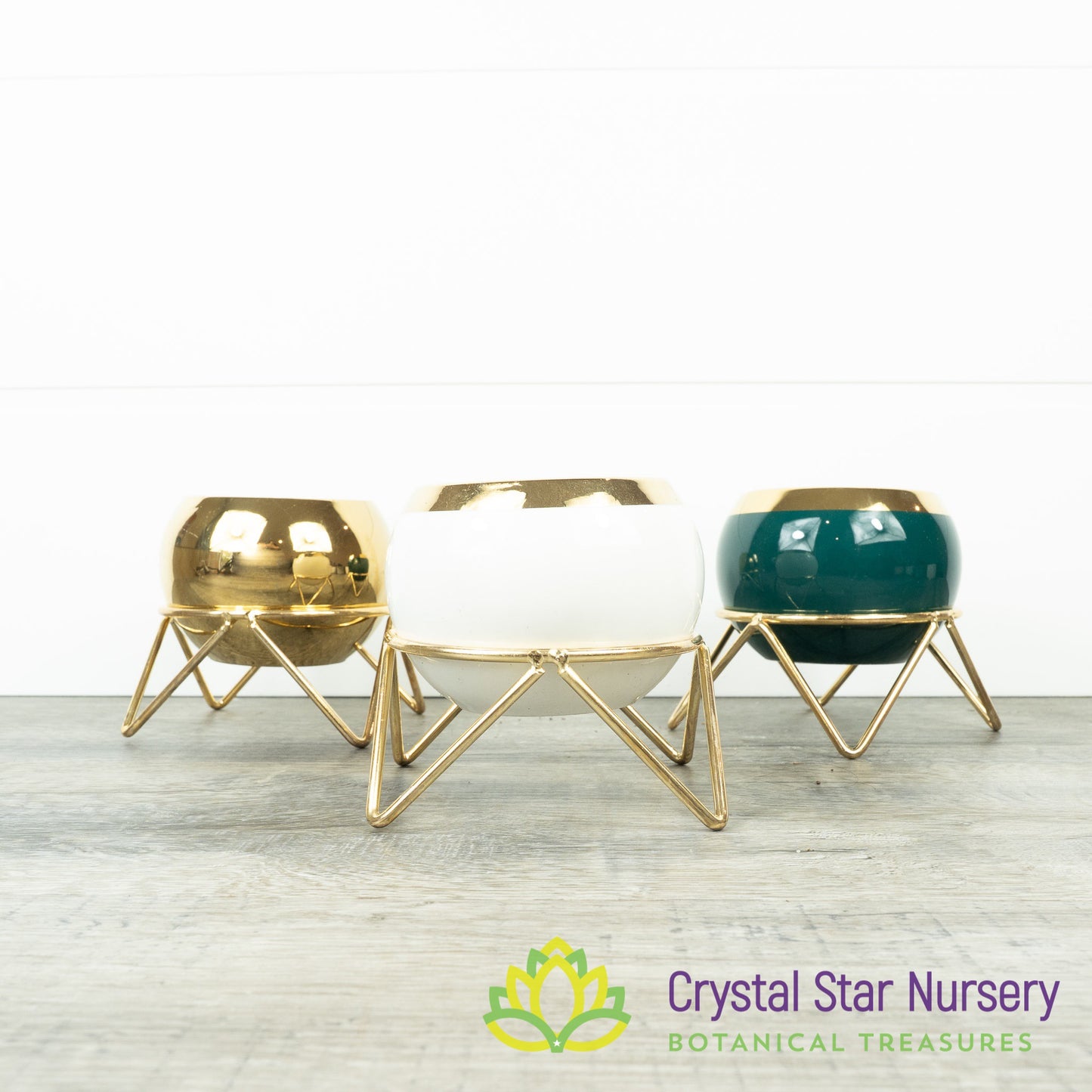 Round Pot with Gold Stand