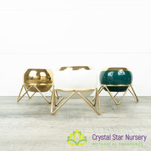 Round Pot with Gold Stand