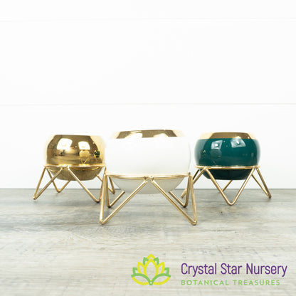 Round Pot with Gold Stand
