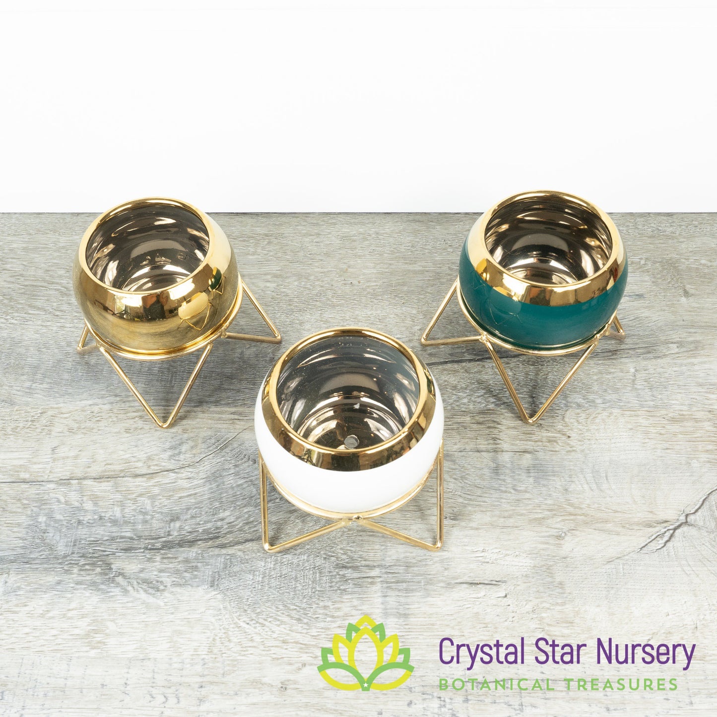 Round Pot with Gold Stand