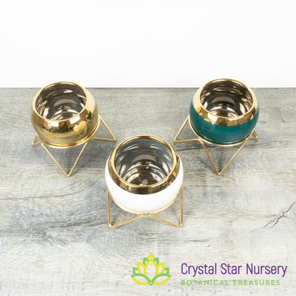 Round Pot with Gold Stand
