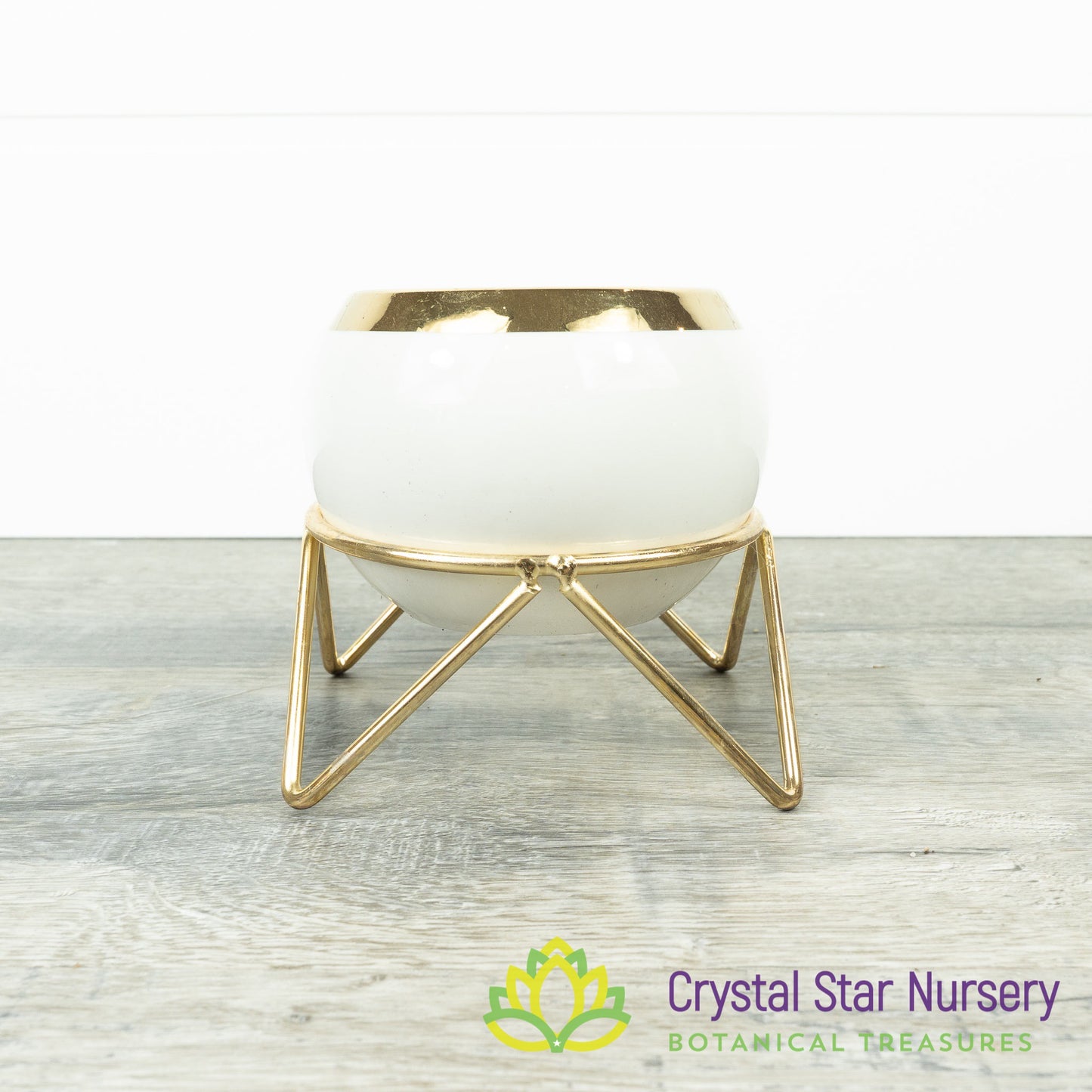 Round Pot with Gold Stand